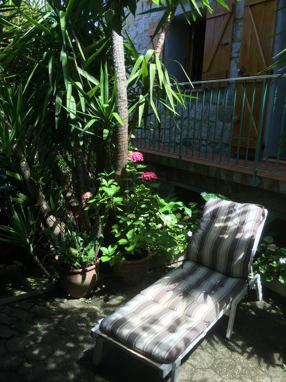 Gite , Maison De Vacances Avec Exterieur Et Terrasse Fleurie Meuble Tourisme 3 Etoiles Santa-Lucia-di-Tallano Dış mekan fotoğraf