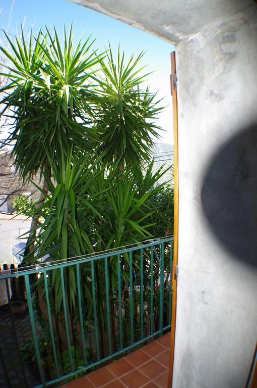 Gite , Maison De Vacances Avec Exterieur Et Terrasse Fleurie Meuble Tourisme 3 Etoiles Santa-Lucia-di-Tallano Dış mekan fotoğraf
