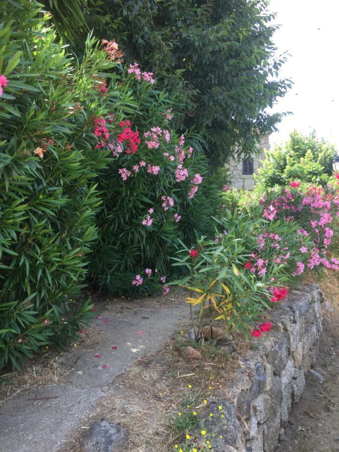 Gite , Maison De Vacances Avec Exterieur Et Terrasse Fleurie Meuble Tourisme 3 Etoiles Santa-Lucia-di-Tallano Dış mekan fotoğraf