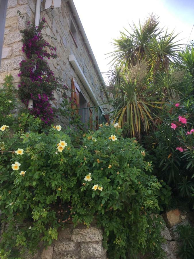 Gite , Maison De Vacances Avec Exterieur Et Terrasse Fleurie Meuble Tourisme 3 Etoiles Santa-Lucia-di-Tallano Dış mekan fotoğraf